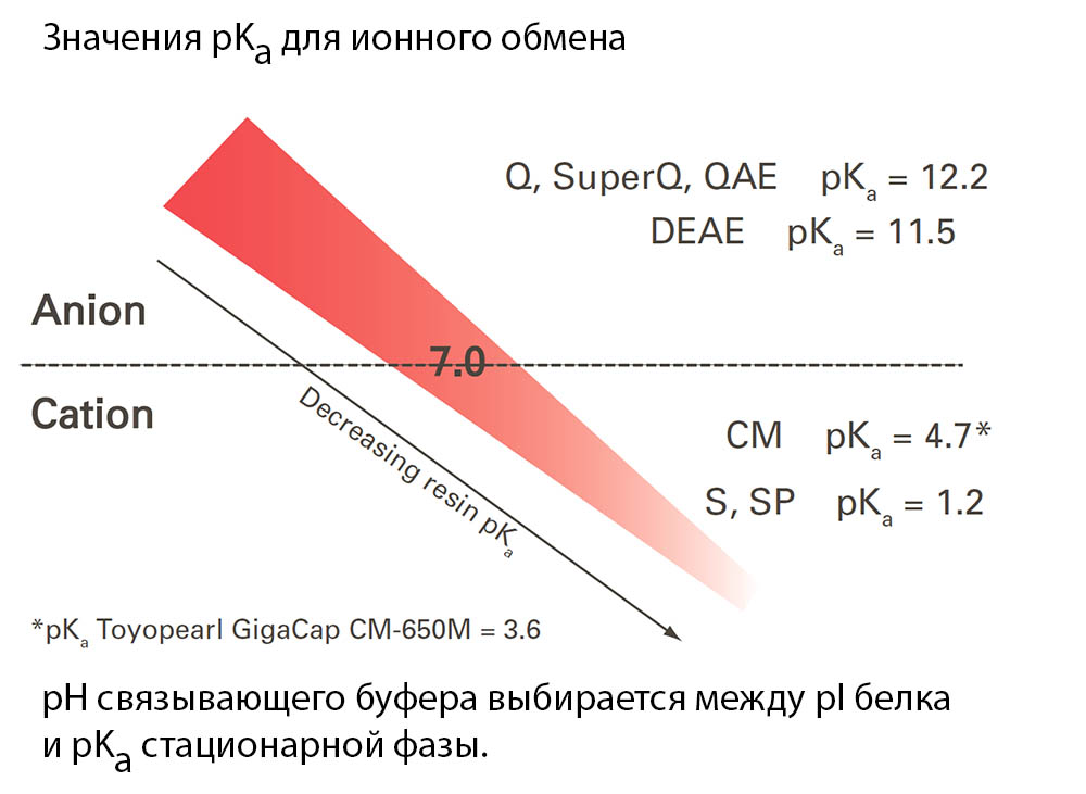 pH связывающего буфера выбирается между pI белка и pKa стационарной фазы